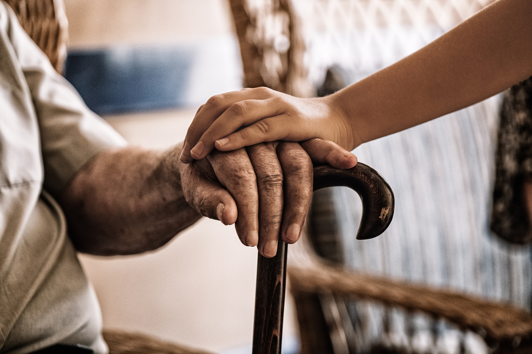 Child's Hand over an Elderly Man's Hand Holding a Cane